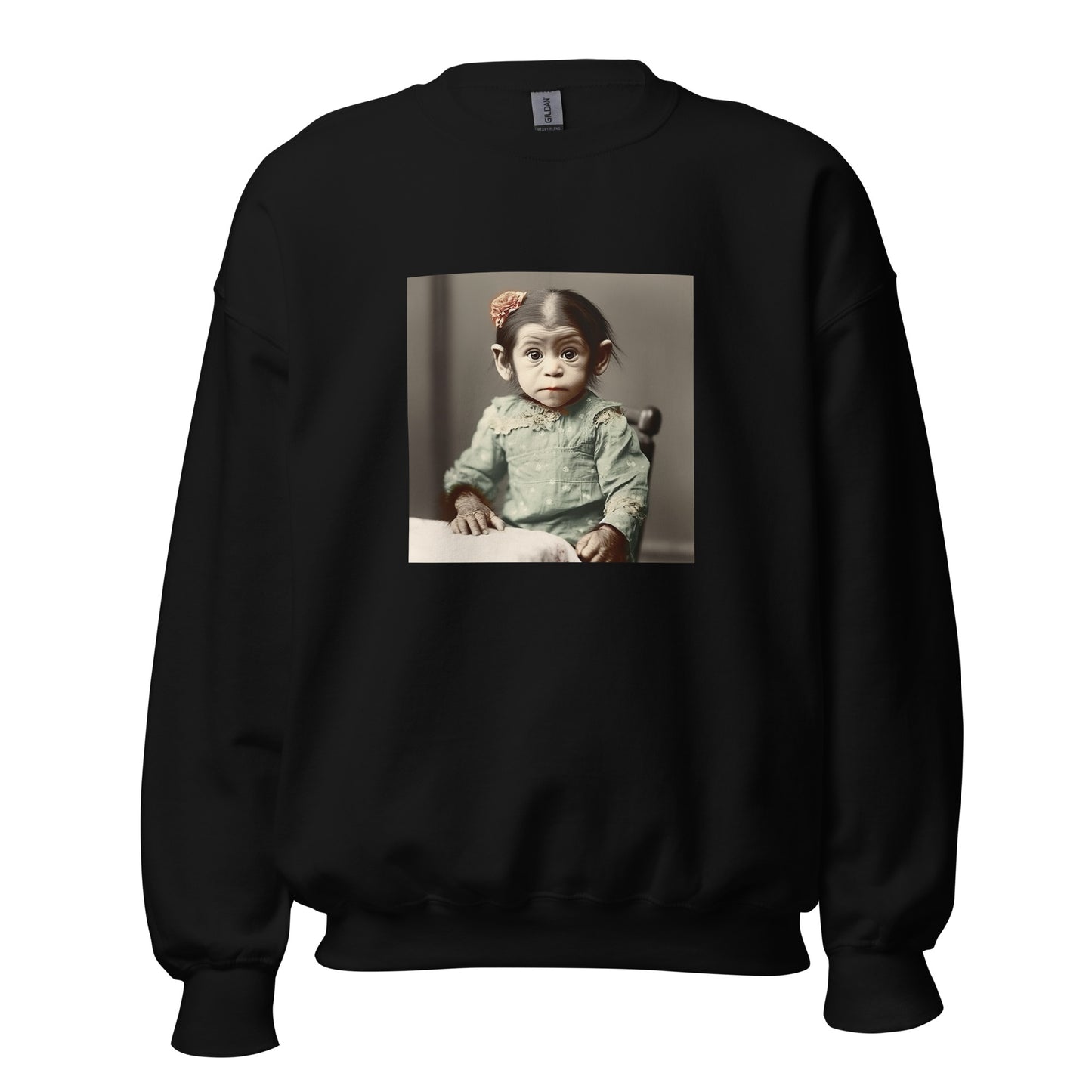 Sweatshirt Unisex / Air Spun Cotton / Portrait Lucy Dinkinesh I