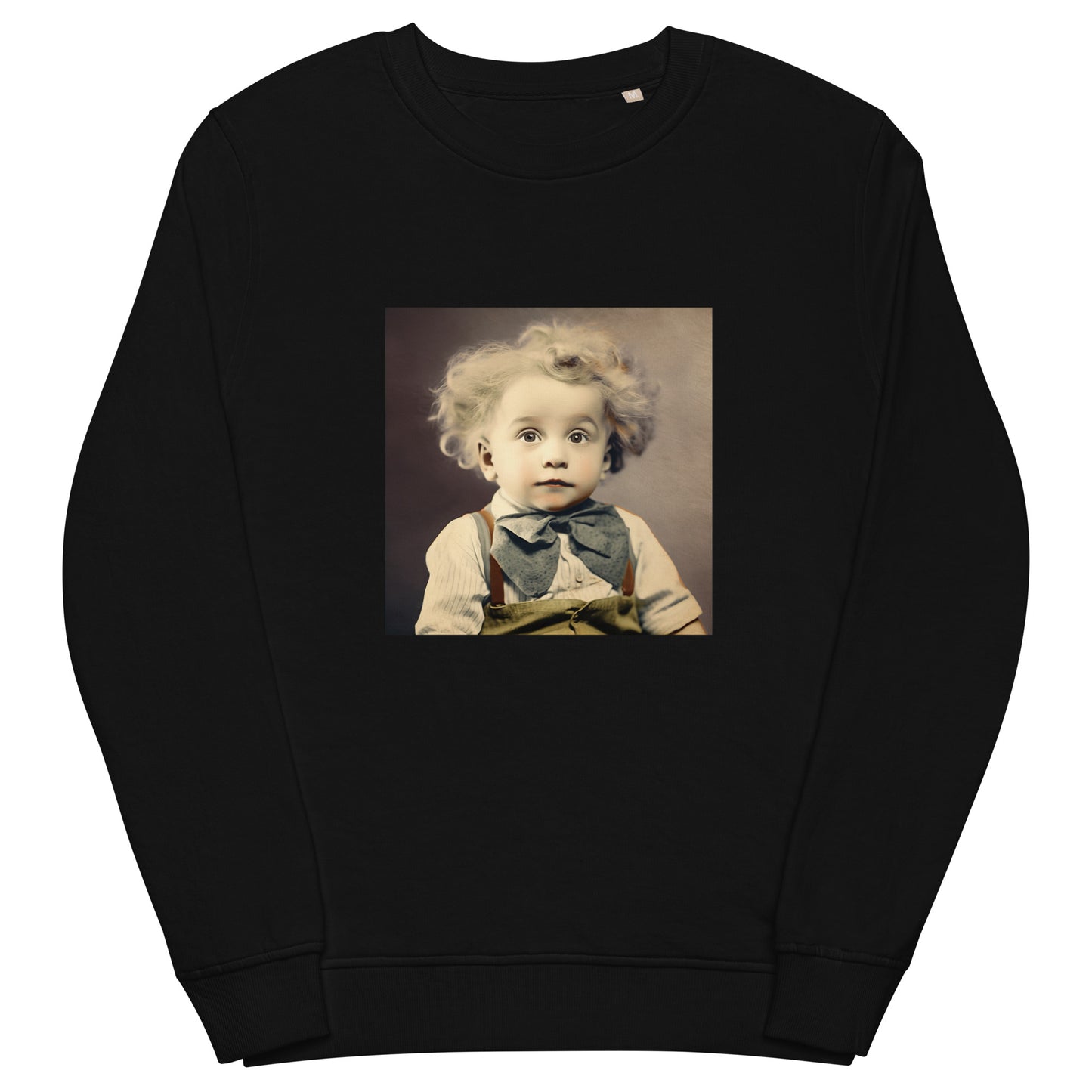 Sweatshirt Unisex / Organic Cotton / Portrait Albert Hermann II