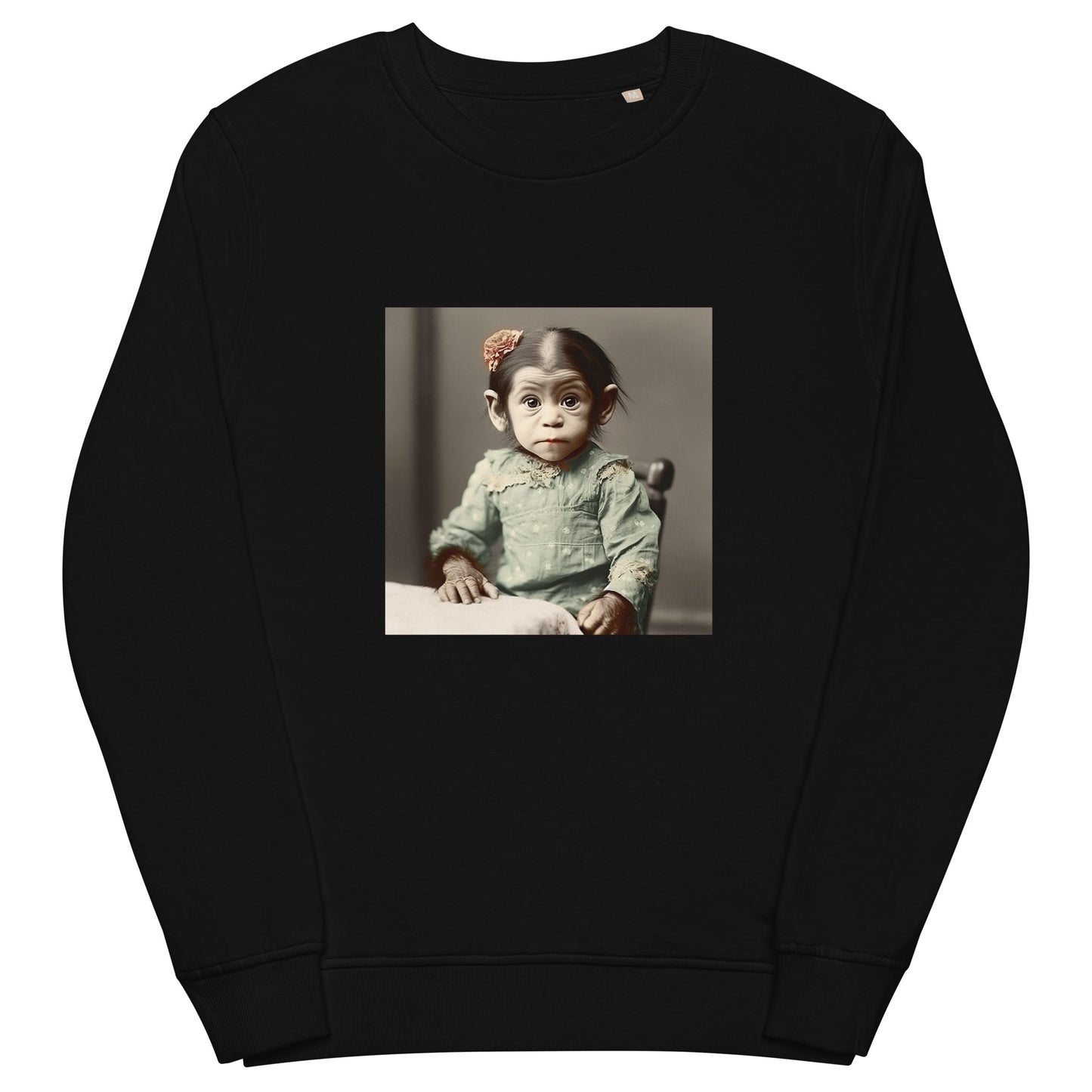 Sweatshirt Unisex / Organic Cotton / Portrait Lucy Dinkinesh I